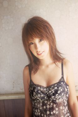 玉面桃花总相逢电视剧免费观看